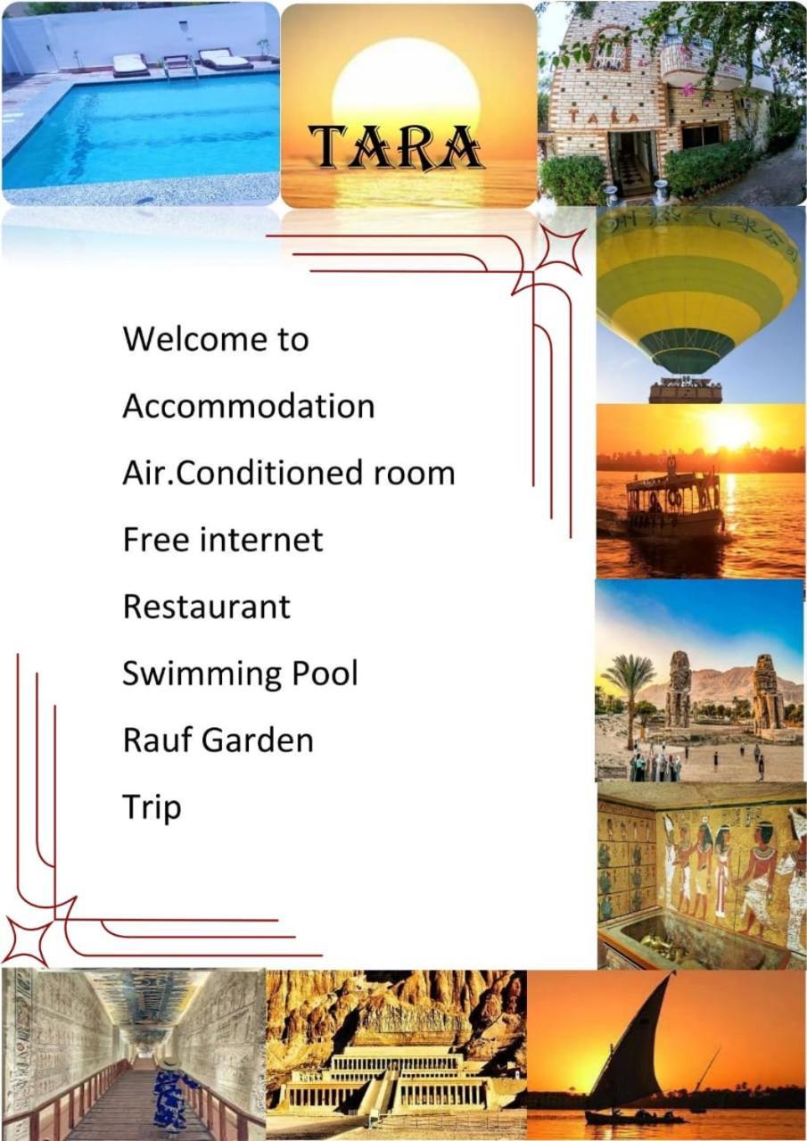 Tara Apartments Luksor Dış mekan fotoğraf